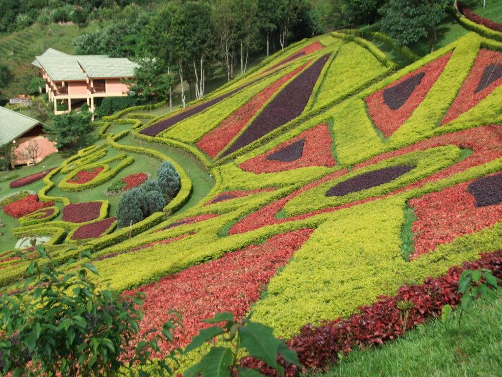 Pa Sak Tong Hotel Chiang Rai Luaran gambar